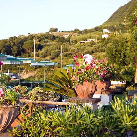 Hotel Poggio Del Sole Forio  Restaurant photo