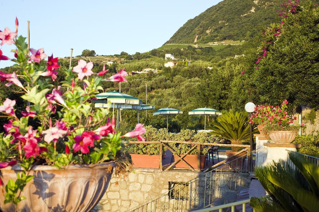 Hotel Poggio Del Sole Forio  Exterior photo